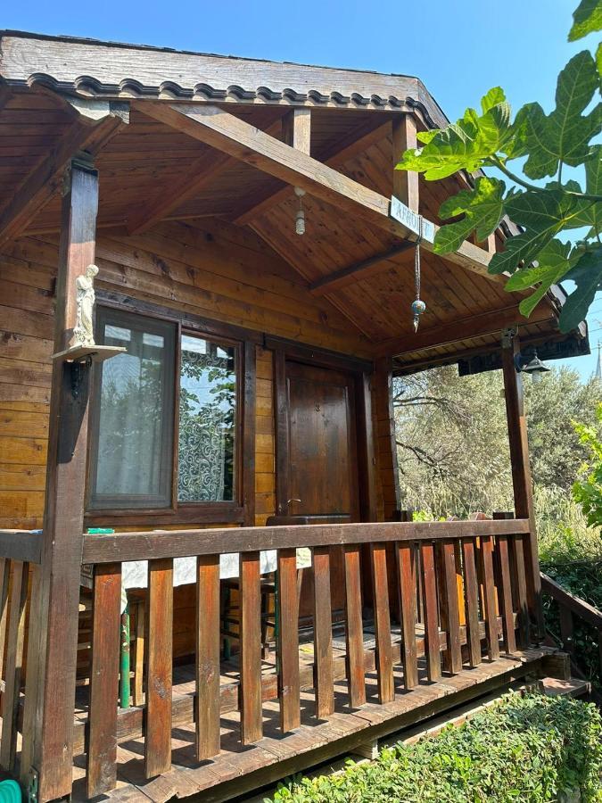 الشقق الفندقية Balikliovaفي  Olimpos Bungalov Apart المظهر الخارجي الصورة